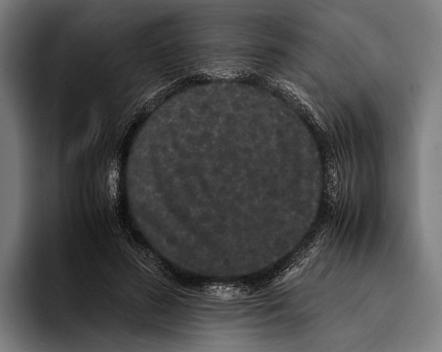 X0000093370596200711081526
