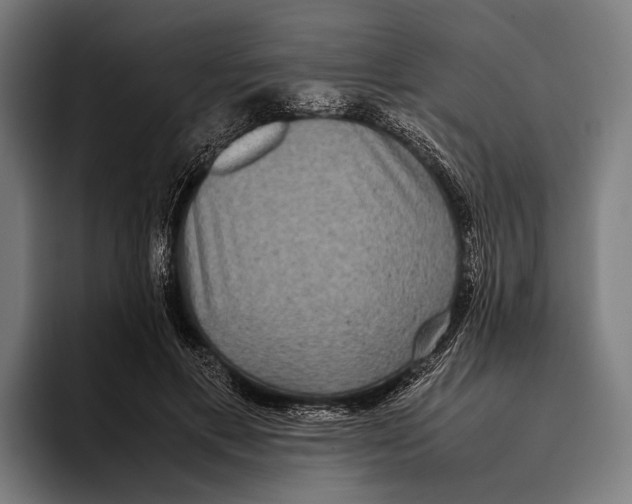 X0000093370597200711081526