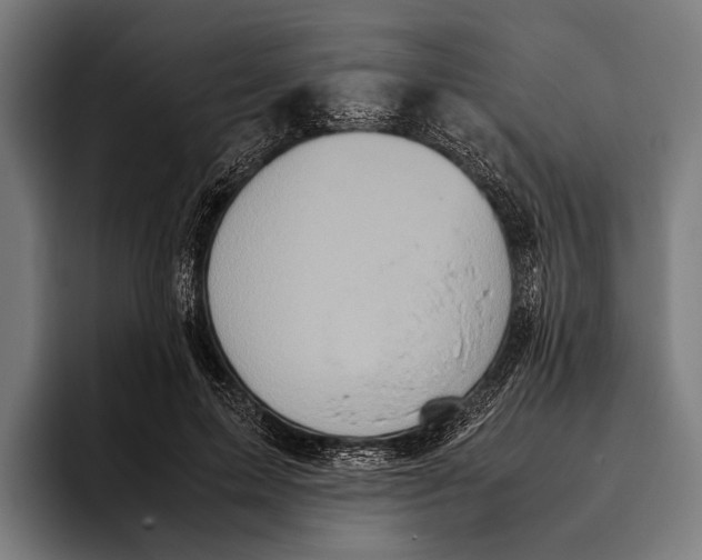 X0000093370599200711081526