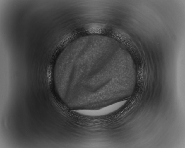 X0000093370600200711081526