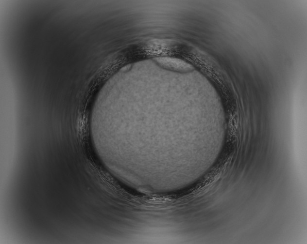 X0000093370601200711081526