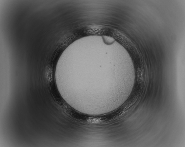 X0000093370602200711081526