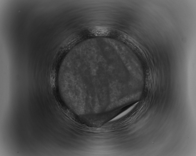 X0000093370604200711081526