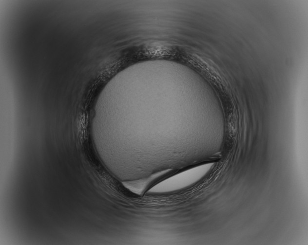 X0000093370605200711081526