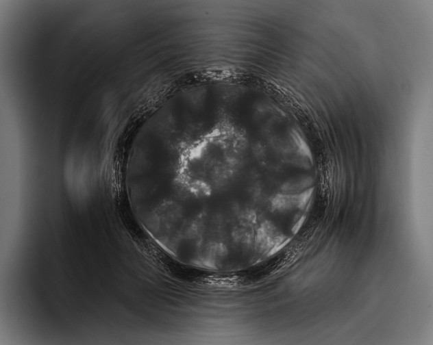 X0000093370606200711081526