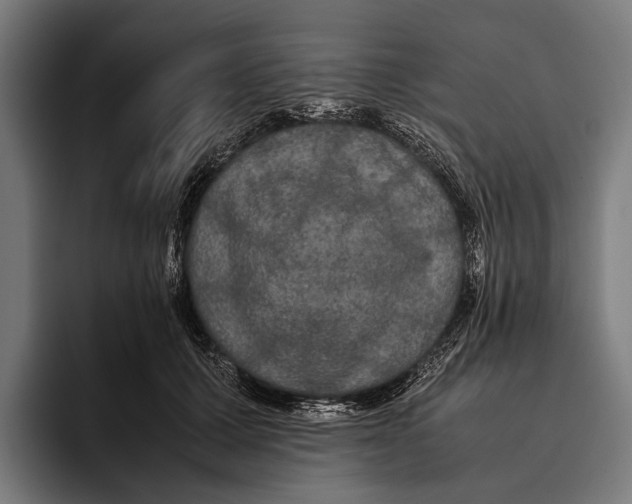 X0000093370607200711081526
