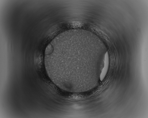 X0000093370608200711081526