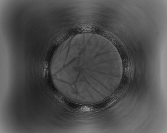 X0000093370610200711081526