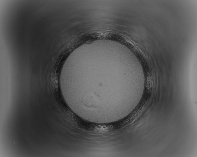 X0000093370613200711081526
