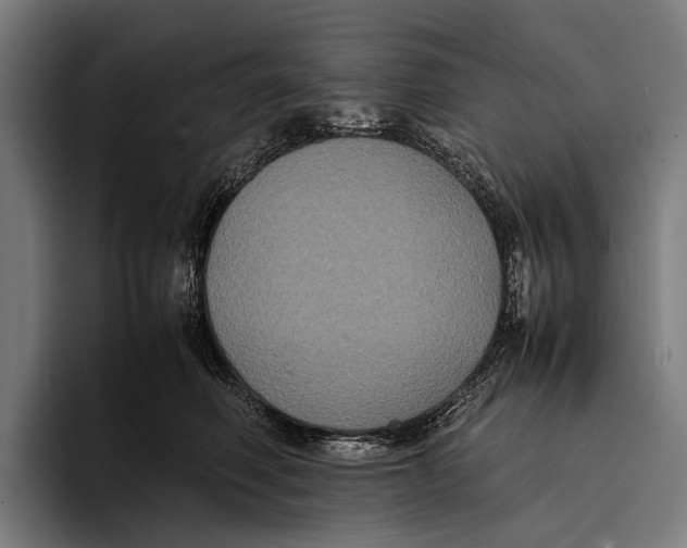X0000093370614200711081526