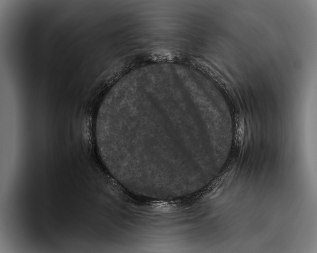 X0000093370616200711081526