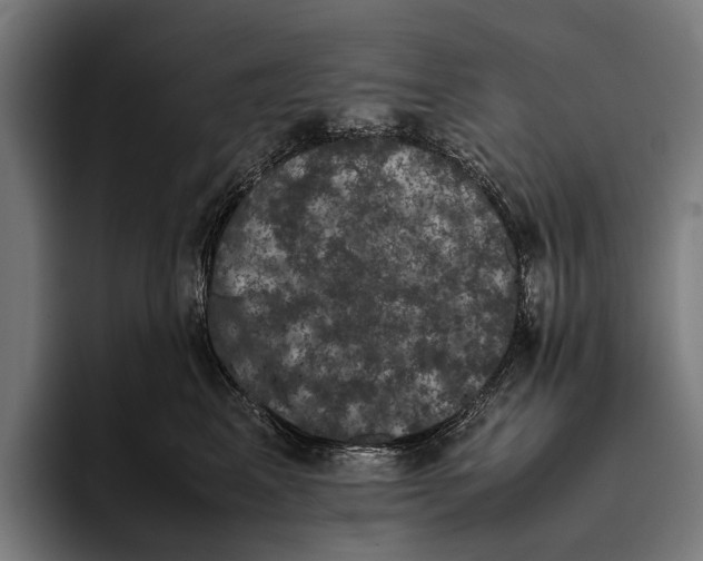X0000093370617200711081526