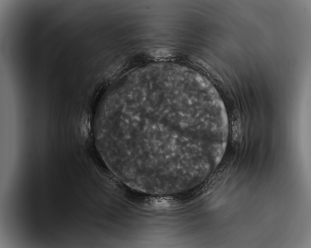 X0000093370618200711081526