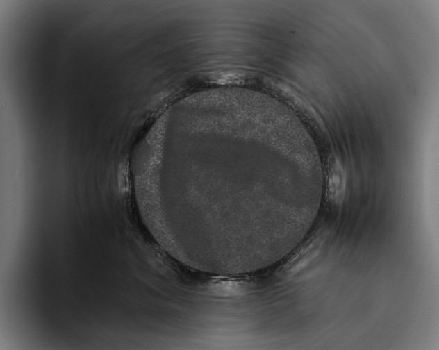 X0000093370620200711081526