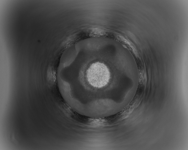 X0000093370621200711081526