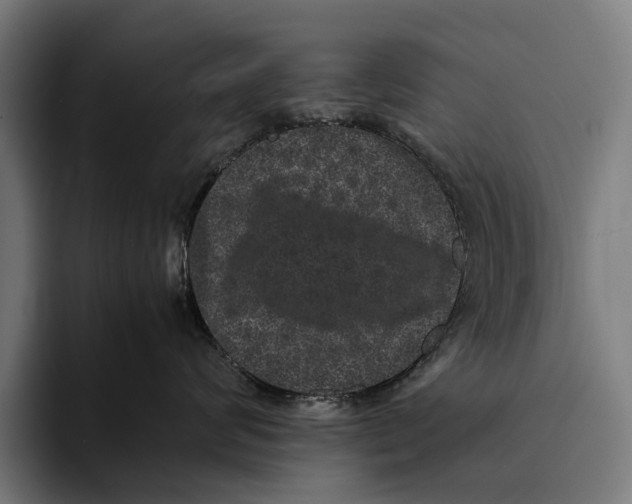 X0000093370624200711081526
