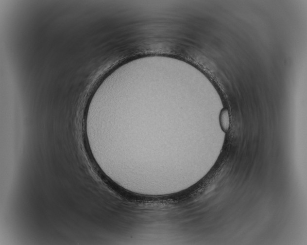 X0000093370625200711081525