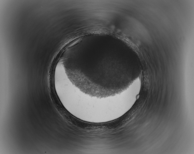 X0000093370626200711081525