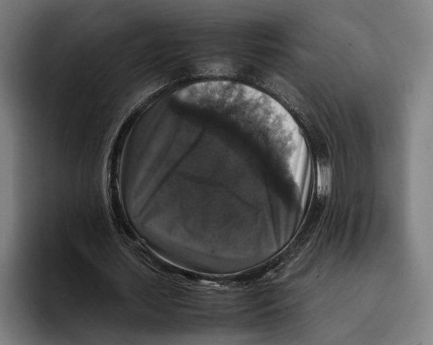 X0000093370627200711081525