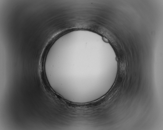 X0000093370628200711081525