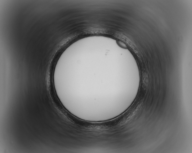 X0000093370629200711081525