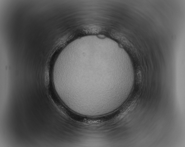 X0000093370638200711081525