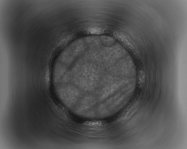 X0000093370639200711081525