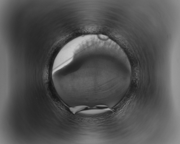 X0000093370640200711081525