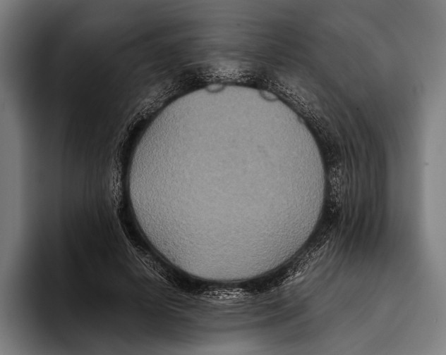 X0000093370642200711081525