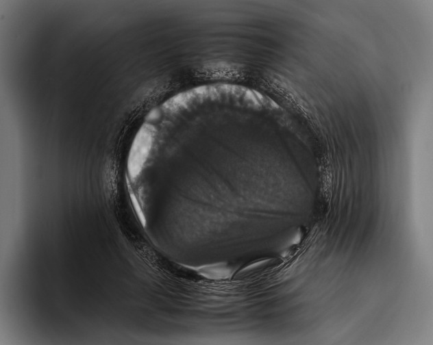 X0000093370643200711081525