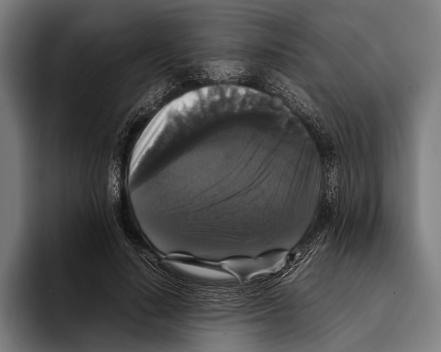 X0000093370644200711081525