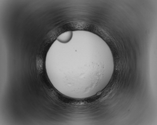 X0000093370646200711081525