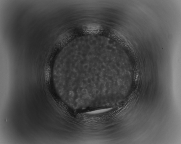 X0000093370647200711081526