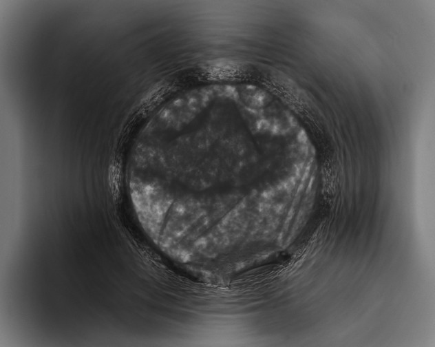 X0000093370648200711081526