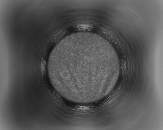 X0000093370649200711081526