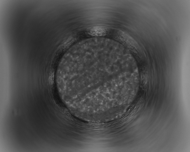 X0000093370652200711081526