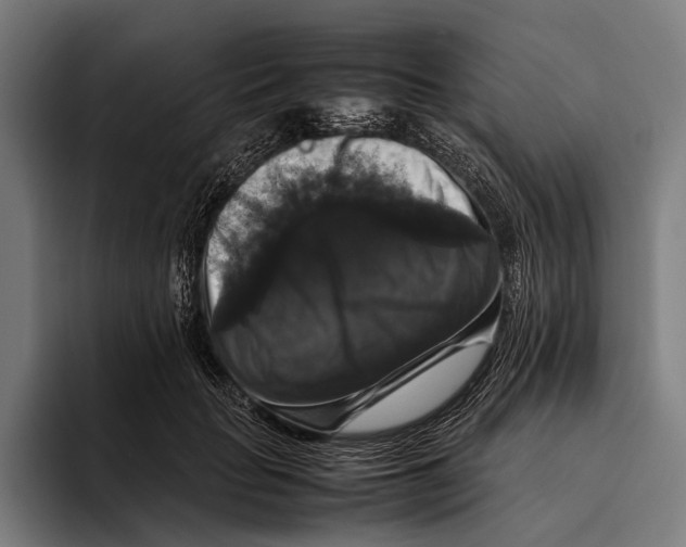 X0000093370653200711081526