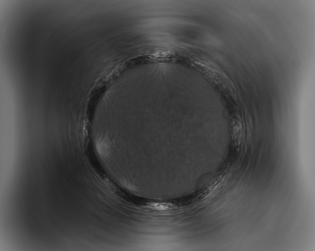 X0000093370654200711081526