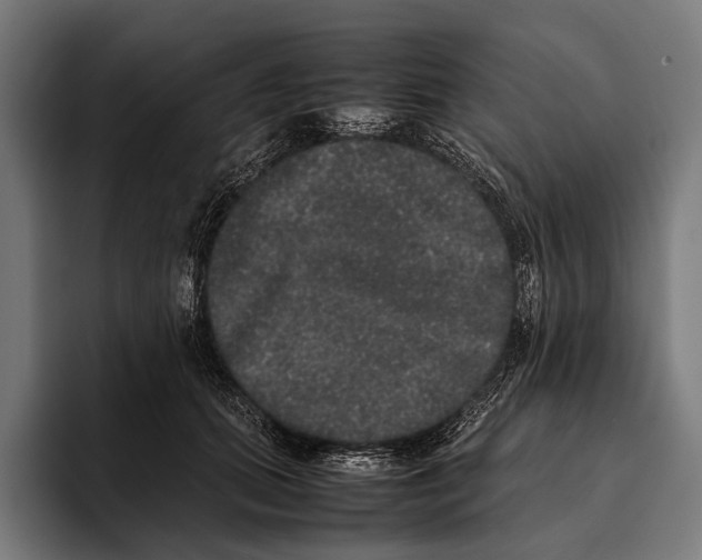 X0000093370655200711081526