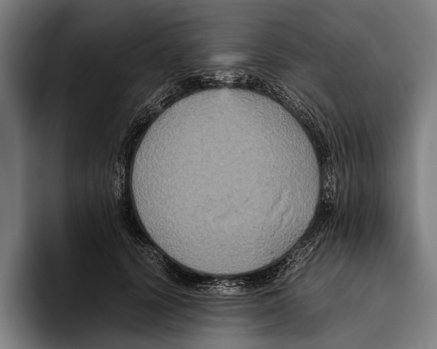 X0000093370656200711081526