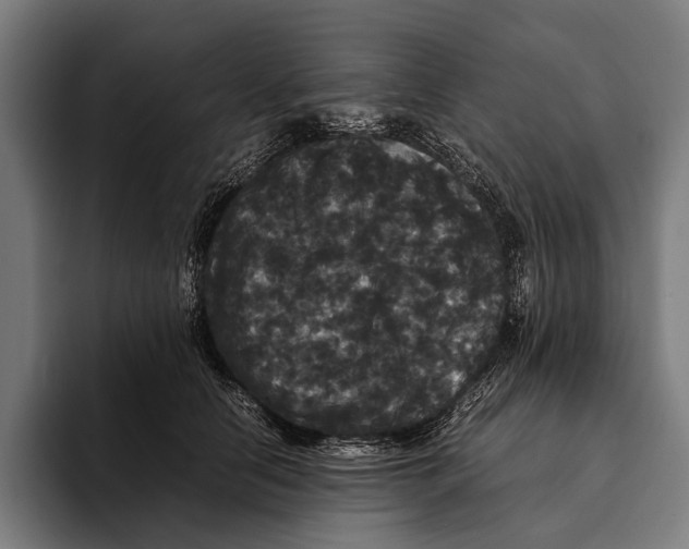X0000093370658200711081526