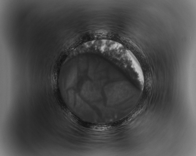 X0000093370661200711081526