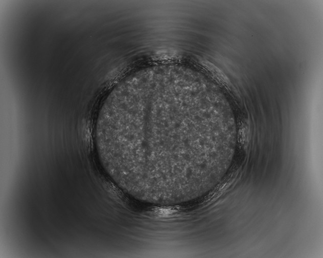 X0000093370662200711081526