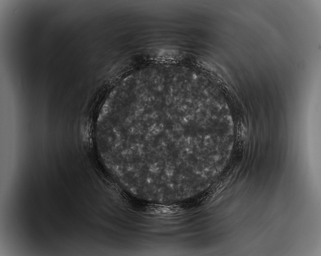 X0000093370663200711081526