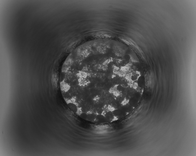 X0000093370669200711081526