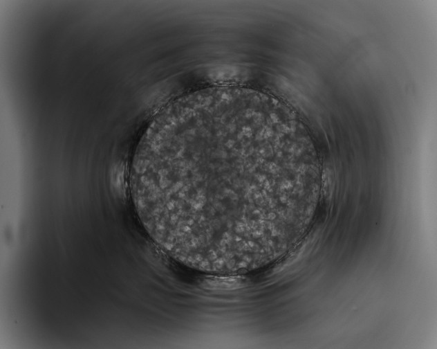 X0000093370671200711081526