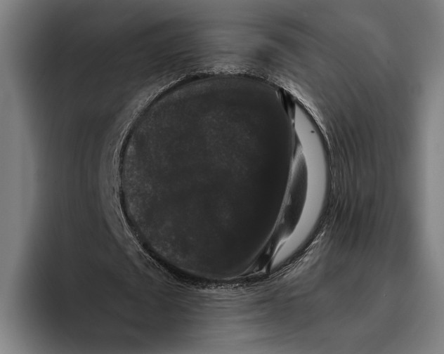 X0000093370673200711081525