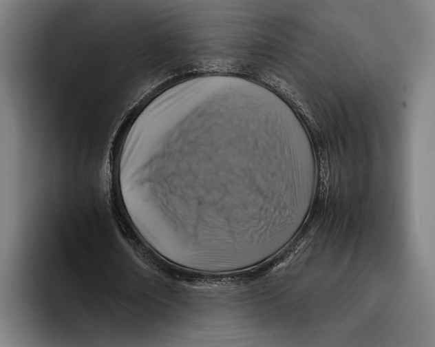 X0000093370674200711081525