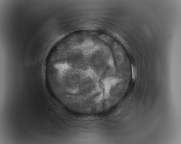 X0000093370675200711081525
