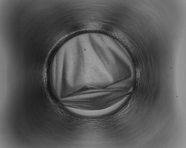 X0000093370676200711081525